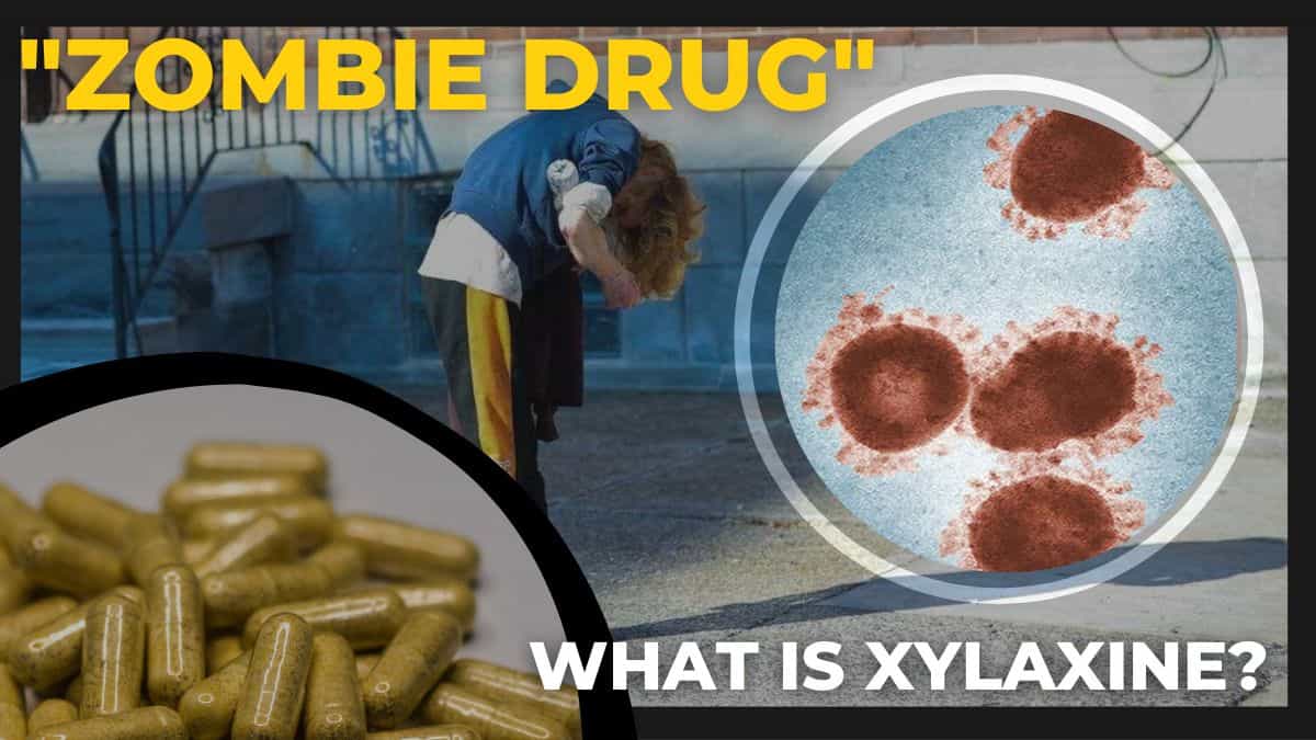 Flakka: Unveiling the Enigma of the Zombie Drug
