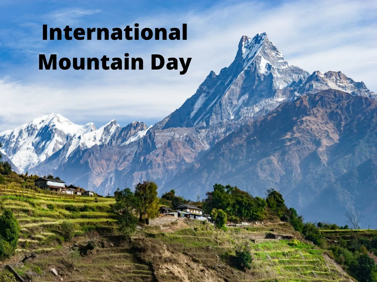 Scaling the Summit of Awareness: International Mountain Day 2023